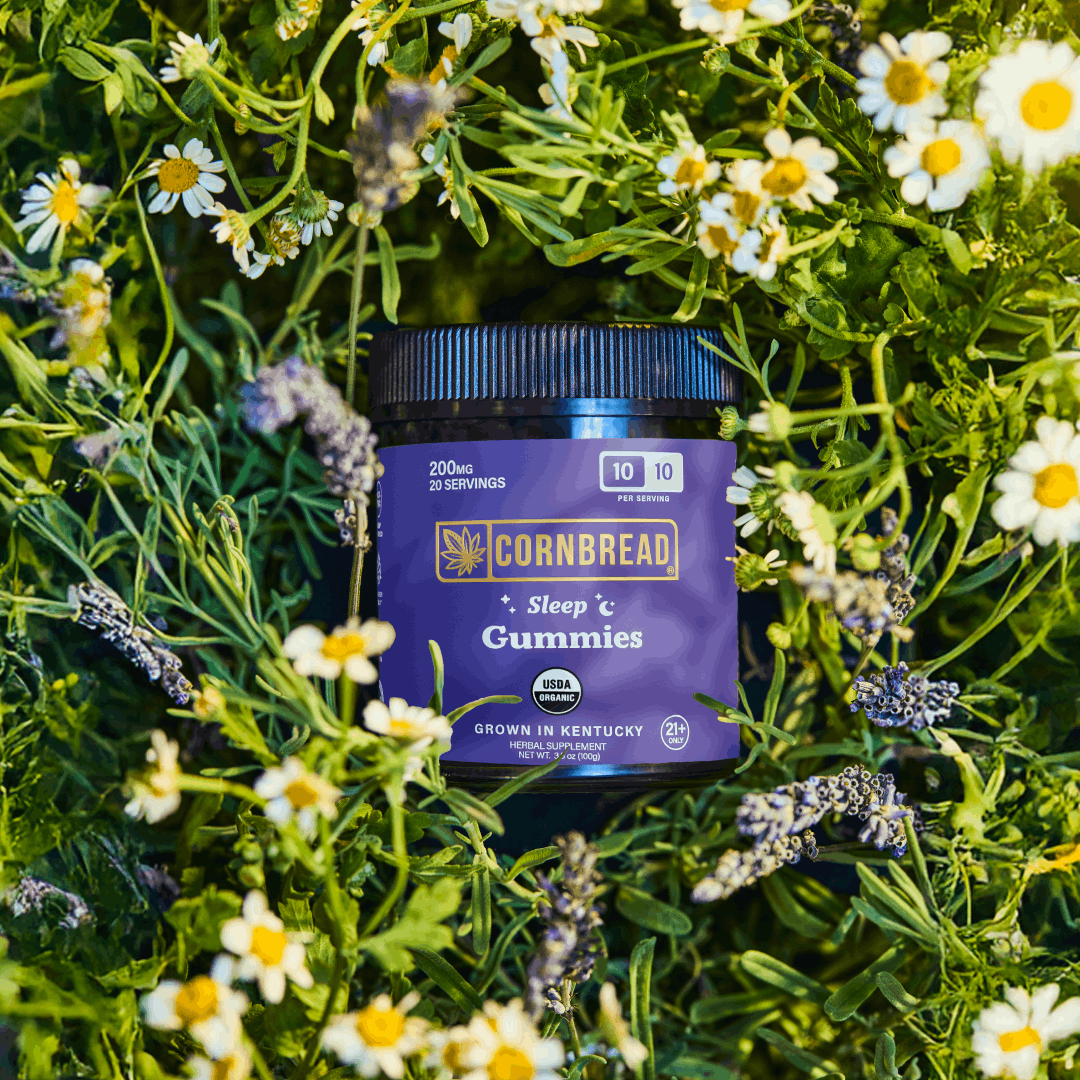 Infused Sleep Gummies